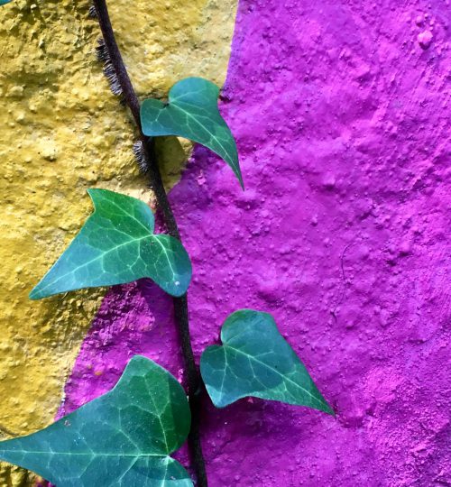 alicia-mary-smith-GHoxPI8qvfs-unsplash