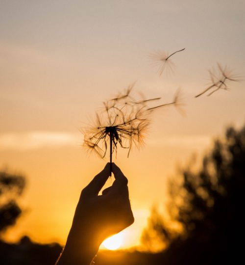 daphne-richard-IFsvZ9bqwAU-unsplash